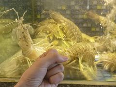 -新荣记(椒江店)