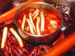 -蜀九香火锅(九眼桥店)