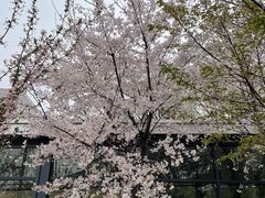 -中南财经政法大学(首义校区)