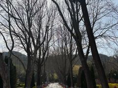 -棒棰岛宾馆景区