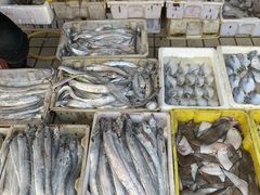 -江杨农产品批发市场