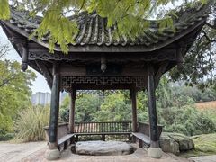 -张坝桂圆林公园