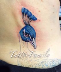未完成-TATTOO FAMILY刺青纹身工作室