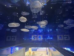 -盒马X会员店(上海森兰商都店)