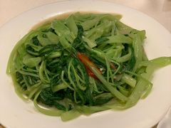 -沙龙酒家