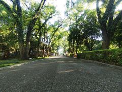 -桂林独秀峰王城景区