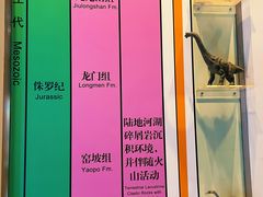 -房山世界地质公园博物馆