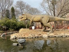 -北京野生动物园