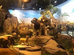 -陕西自然博物馆