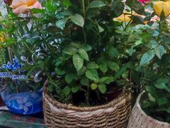 -三旗百汇商品城