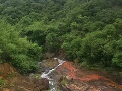 -广州白江湖森林公园