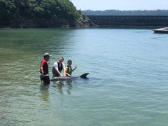 -南紀白浜 浜千鳥の湯 海舟