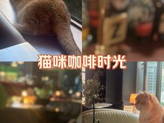 -咖法森林·咖啡  酒吧(天河店)