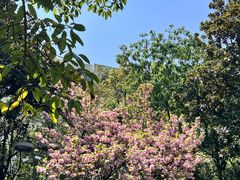 -成都市活水公园