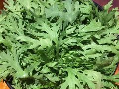 -原牛道·潮汕围炉火锅(讯美店)