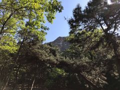 -山叶口景区