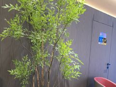 -苏淮景·苏闽融创菜·海鲜(原空港井河轩店)
