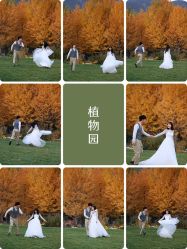 -绽放摄胶片摄影工作室