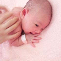 -莉泽月子中心(鹅潭汇店)