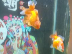 -北戴河圣蓝海洋公园