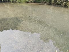 -华蓥山天意谷景区