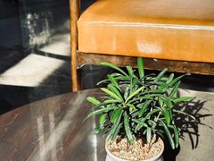 -福州泰禾铂尔曼酒店·大堂酒廊