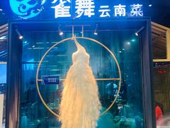 门面-雀舞云南菜(乐客城店)
