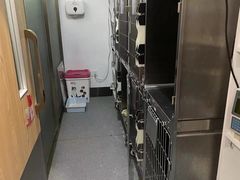 -伟伟宠物医院·瑞派猫友好医院·猫科(光谷店)