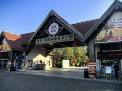 -上海海湾国家森林公园