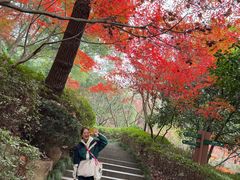 -杭州半山国家森林公园