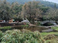 -广州市石门国家森林公园
