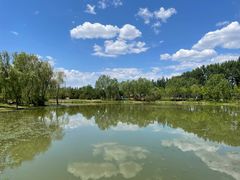 -东郊湿地公园