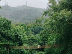 -青青世界