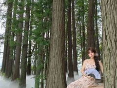 -东湖落雁景区
