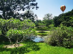 -中国科学院西双版纳热带植物园