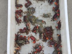-奉贤海滩