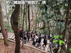 -灵顺寺