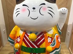 -屋虎猫馆(宝安大仟里店)