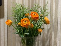-双季花艺园艺市场(浦东店)