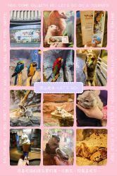 -Zoolung Zoolung动物主题公园(海信广场店)