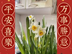 -上海怡沁园度假酒店
