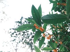 -黄公望隐居地