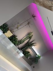 -宫铭烫发染发接发店