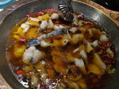 -雲蜀龙阁·金牌水煮鱼(方庄店)