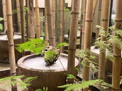 -长禧家·珑厨(东山口店)