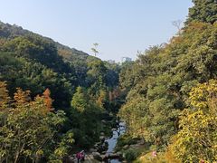 -云溪植物园