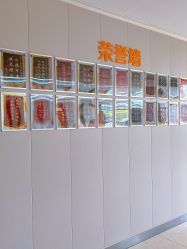 -艾博尔医院