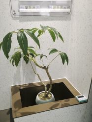 -LJOY丽锦造型·烫发染发