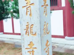 -西安青龙寺遗址景区