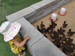 -萌宠亲子动物乐园(槐房万达店)